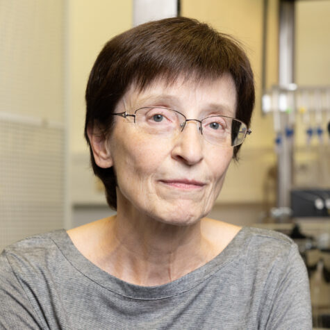 RNDr. Viktorie Vlachová, DrSc: Každá práce, ať už duševní, nebo fyzická